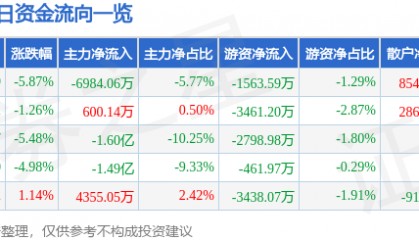 股票行情快报:岩山科技(002195)1月3日主力资金净卖出6984.06万元