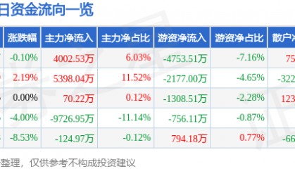 股票行情快报:江海股份(002484)3月6日主力资金净买入4002.53万元
