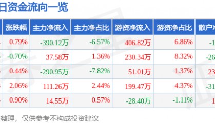 股票行情快报:丰华股份(600615)7月11日主力资金净卖出390.12万元