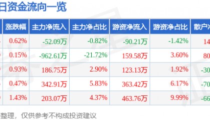 股票行情快报:穗恒运A(000531)8月21日主力资金净卖出52.09万元