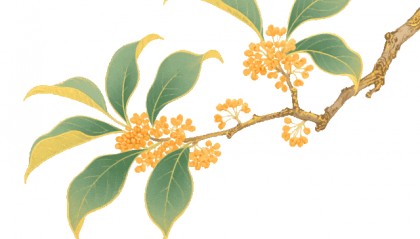一带一路先生杜小东:中秋节与“一带一路”存在深层逻辑共振