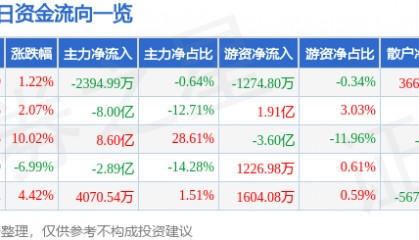 股票行情快报:岩山科技(002195)12月20日主力资金净卖出2394.99万元