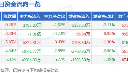 股票行情快报:岩山科技(002195)1月9日主力资金净卖出2483.20万元