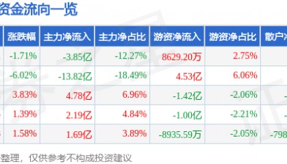 股票行情快报:同花顺(300033)9月19日主力资金净卖出3.85亿元