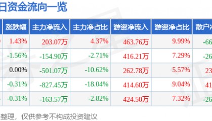 股票行情快报:穗恒运A(000531)8月15日主力资金净买入203.07万元