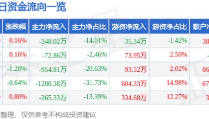 股票行情快报:大连友谊(000679)6月9日主力资金净卖出348.02万元