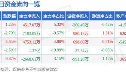 股票行情快报:长亮科技(300348)12月16日主力资金净买入4517.07万元