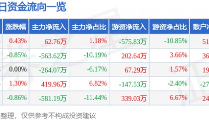 股票行情快报:津滨发展(000897)6月11日主力资金净买入62.76万元