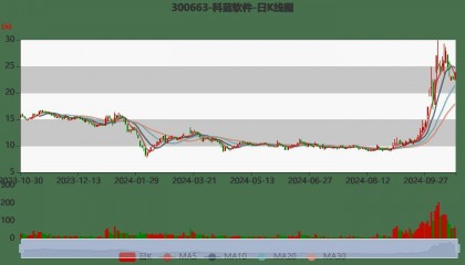 科蓝软件:2024年前三季度亏损680.76万元