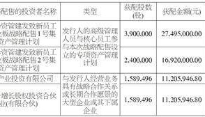 上海建发致新医疗科技集团股份有限公司 首次公开发行股票并在创业板上市发行公告