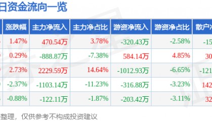 股票行情快报:南方泵业(300145)6月24日主力资金净买入470.54万元