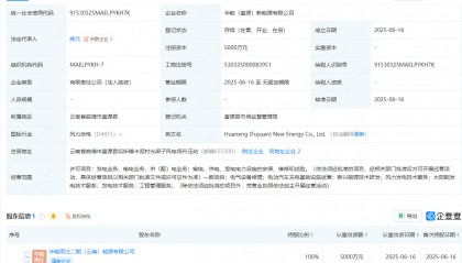 华能国际、华能水电投资成立新能源公司