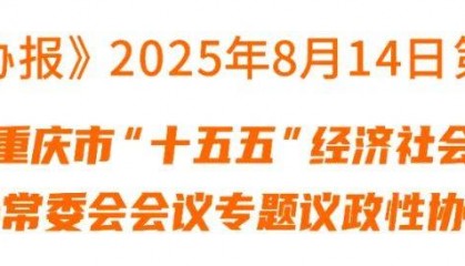 西部金融研究院院长陈银华:推动政府资金资源“投资于人”提升群众获得感