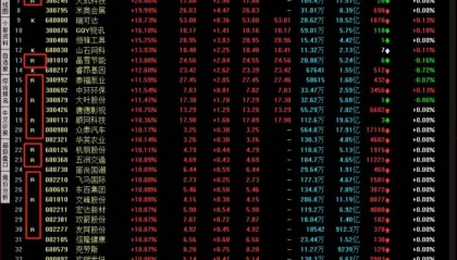 国内个股期权有哪些股票?