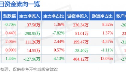 股票行情快报:丰华股份(600615)7月10日主力资金净买入37.58万元