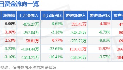 股票行情快报:宝莫股份(002476)11月21日主力资金净卖出875.27万元