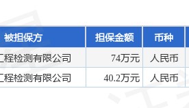 华测检测披露2笔对外担保,被担保方为华测工程检测有限公司