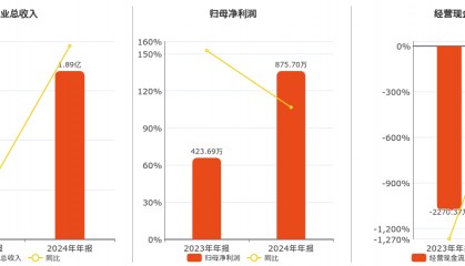 丰华股份(600615.SH):2024年年报净利润为875.70万元