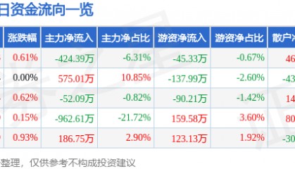 股票行情快报:穗恒运A(000531)8月25日主力资金净卖出424.39万元