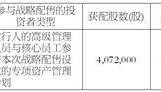山东山大电力技术股份有限公司 首次公开发行股票并在创业板上市发行结果公告