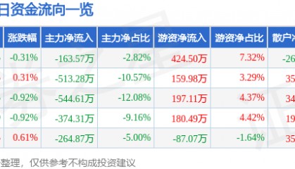 股票行情快报:穗恒运A(000531)8月11日主力资金净卖出163.57万元