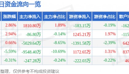 股票行情快报:岩山科技(002195)11月21日主力资金净买入1810.80万元