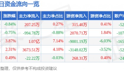 股票行情快报:金山办公(688111)6月27日主力资金净买入207.25万元