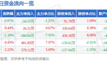 股票行情快报:津滨发展(000897)5月13日主力资金净卖出56.53万元