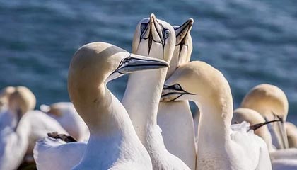 每周股票复盘:张江高科(600895)每股现金红利0.148元,8月8日发放