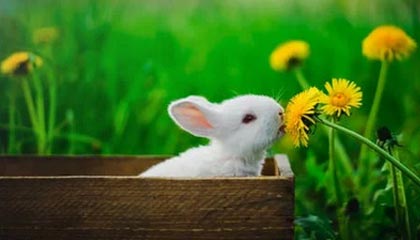 绿色“一带一路” 赋能“一带一路”共建国家绿色低碳转型