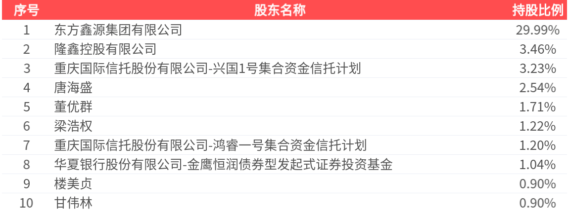 丰华股份(600615.SH)：2024年年报净利润为875.70万元
