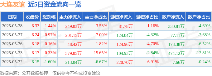 股票行情快报：大连友谊（000679）5月28日主力资金净买入249.03万元