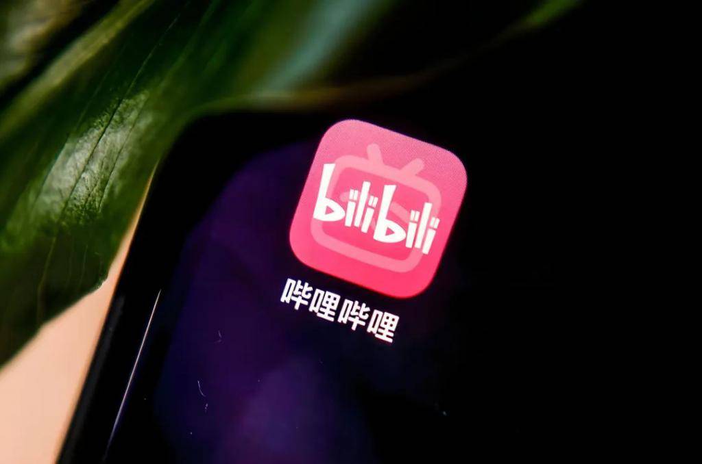B 站，也选择“骑驴找马”