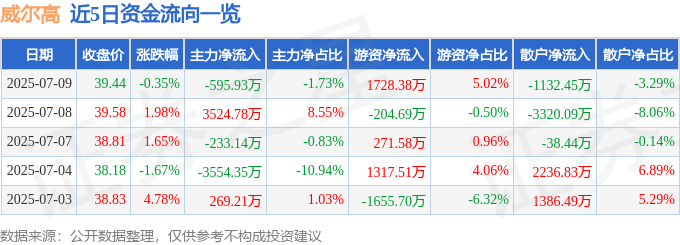 股票行情快报：威尔高（301251）7月9日主力资金净卖出595.93万元