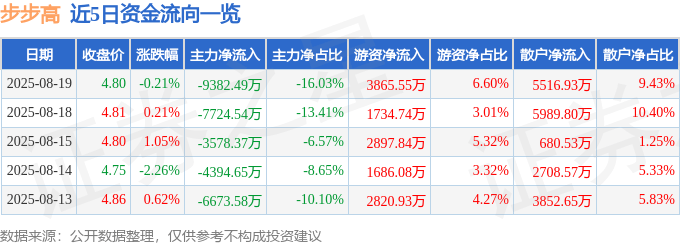 股票行情快报:步步高(002251)8月19日主力资金净卖出9382.49万元