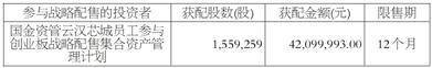 云汉芯城(上海)互联网科技股份有限公司 首次公开发行股票并在创业板上市发行公告